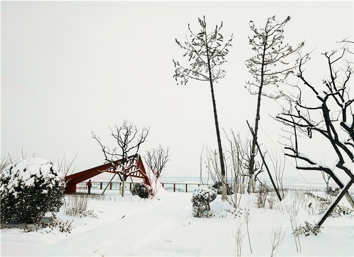 張俊捷-5.一點紅銹 2017-12-23  白紙黑墨再配上一筆暖色，構成了一幅有韻味的畫面。耐候鋼與油松的高矮對比，奠定了畫面的平衡。.jpg