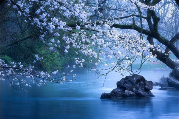 1556008729733691p79A.jpg 1 (68).jpg