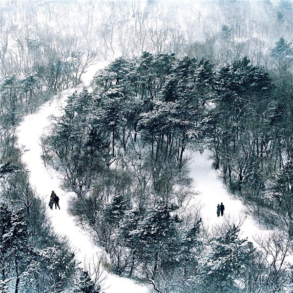 15560087565312277077.jpg 1 (151).jpg