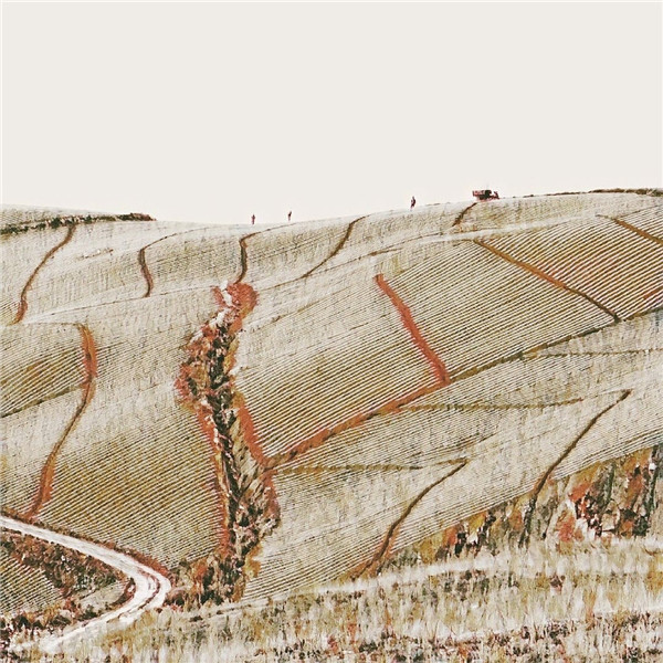 15560087996788261718.jpg 1 (52).jpg