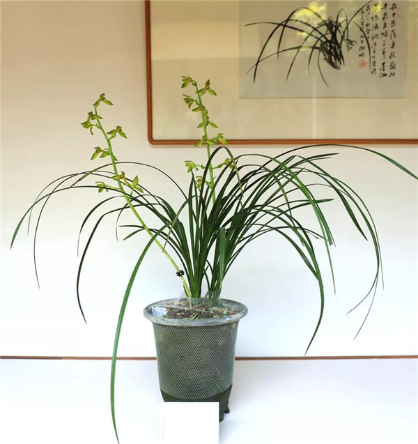 15573034758309436699.jpg QQ圖片20190508161218.jpg