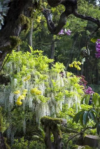 1682393358728355744A.jpg 微信圖片_20230421173603.jpg