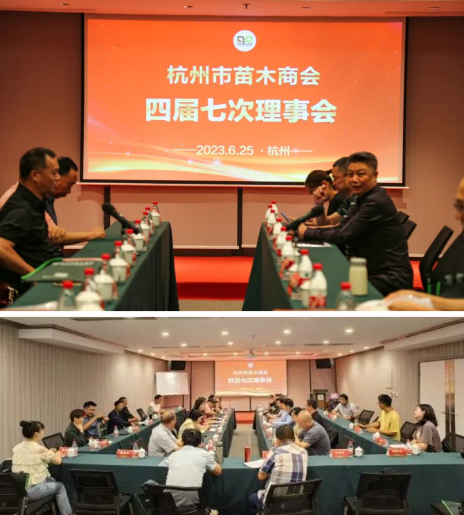 1688019394819152B1E9.png image.png