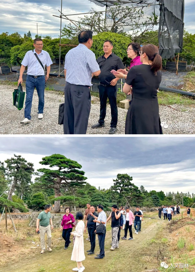 1688019729657181CD3B.png image.png